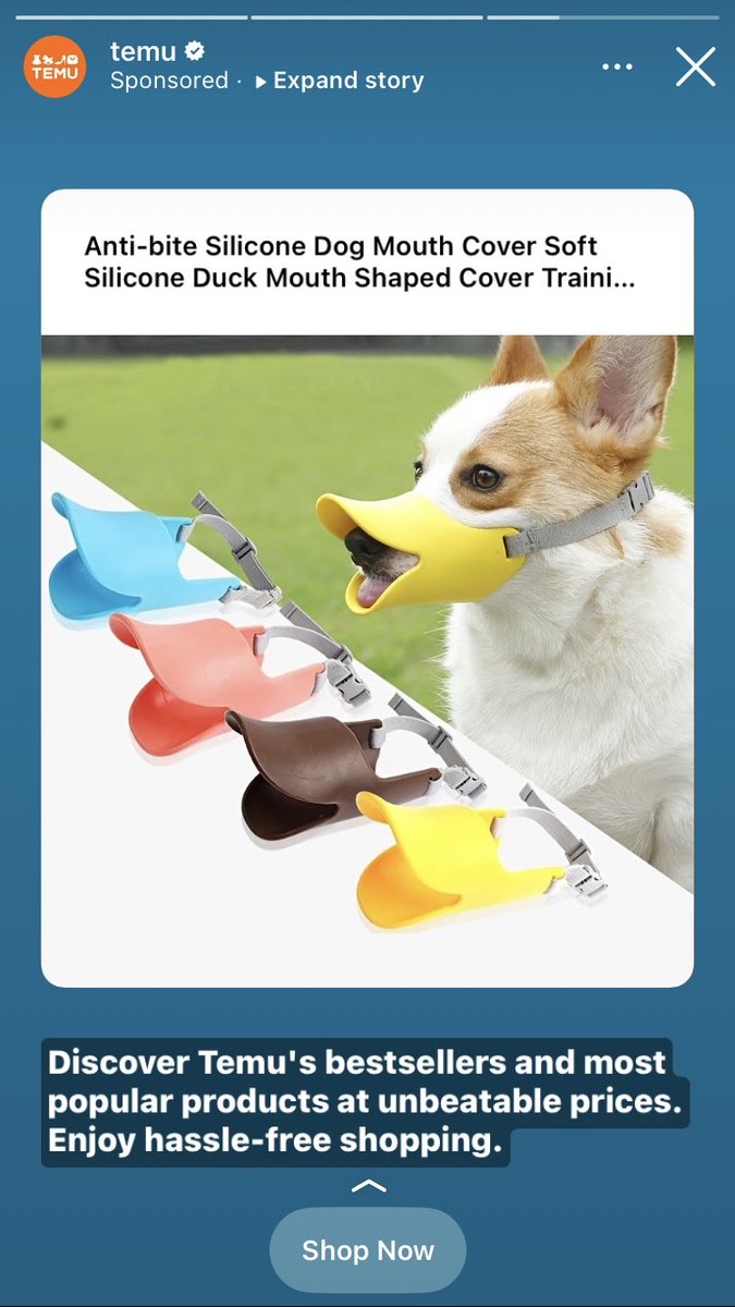 Lara O'Reilly tweet media