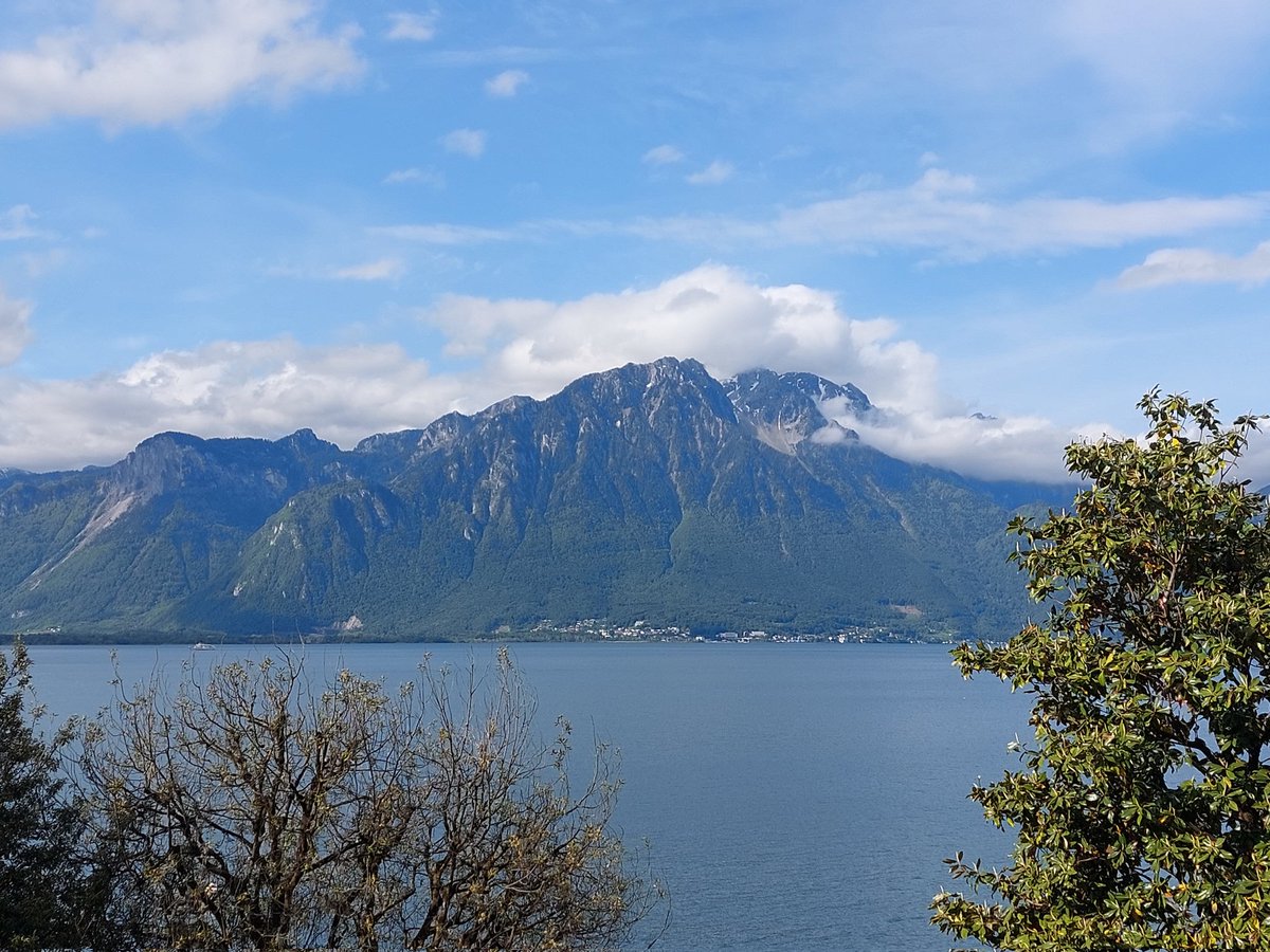 Many thanks to the organisers of <a href="/nidovirus2023/">@NIDO2023</a> for such a really incredibly conference! 🙏 I really can't say enough about the diversity &amp; quality of the talks &amp; posters, &amp; the fantastic conversations &amp; connections! I'm so glad I was able to come! 😁 #Nido2023