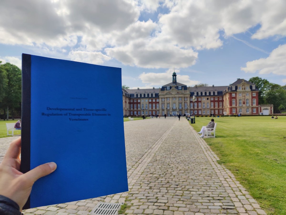 Thesis written and submitted 📘 Very happy to have reached this milestone with the support of @vaquerizasjm and the @vaquerizas_lab