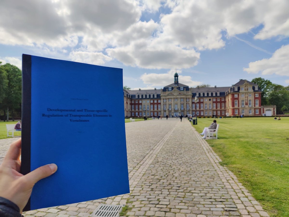 Quirze Rovira (@quirze92) on Twitter photo Thesis written and submitted 📘
Very happy to have reached this milestone with the support of <a href="/vaquerizasjm/">Juanma Vaquerizas</a> and the <a href="/vaquerizas_lab/">Vaquerizas Lab</a> Thesis written and submitted 📘
Very happy to have reached this milestone with the support of <a href="/vaquerizasjm/">Juanma Vaquerizas</a> and the <a href="/vaquerizas_lab/">Vaquerizas Lab</a>