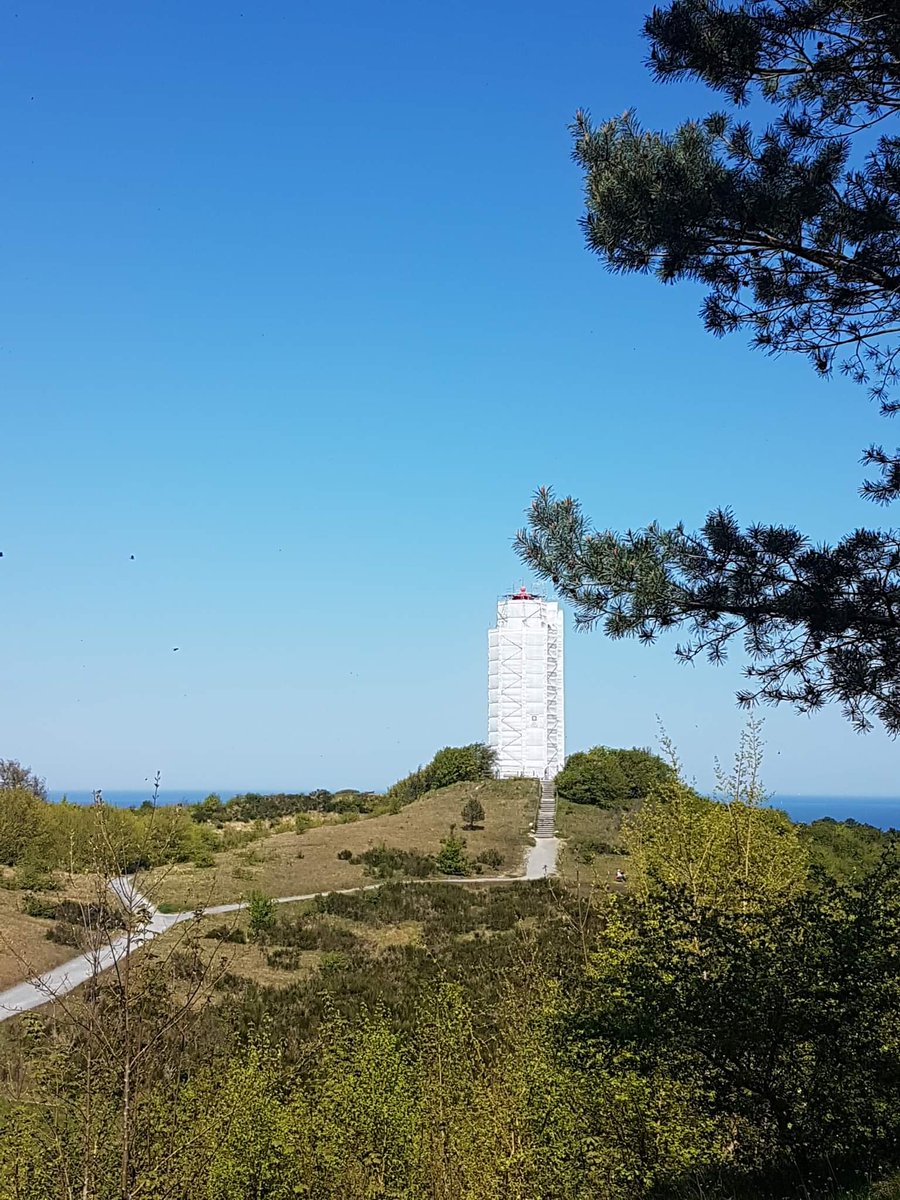 Isa Schikorsky tweet media