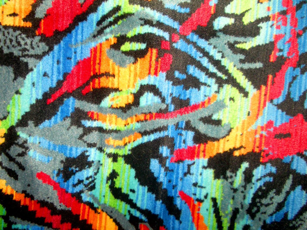 Darko Šupe tweet media