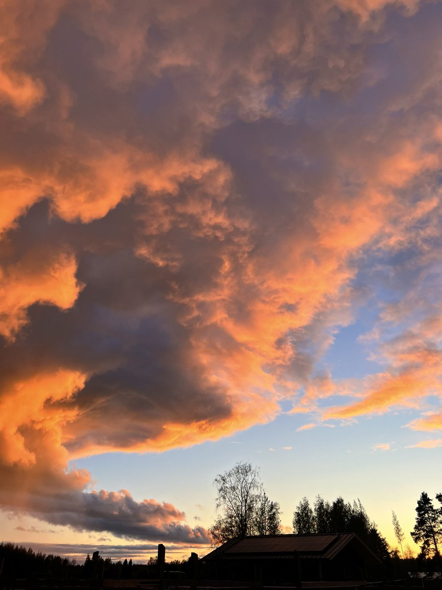 Sanna Rautio tweet media