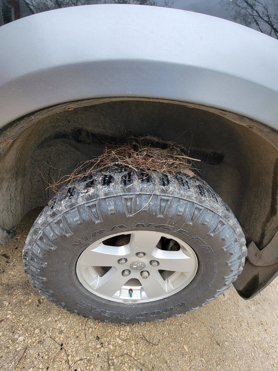 RJ211_'s tweet photo. How do I get home? @peta https://t.co/8AfMNYGqRi