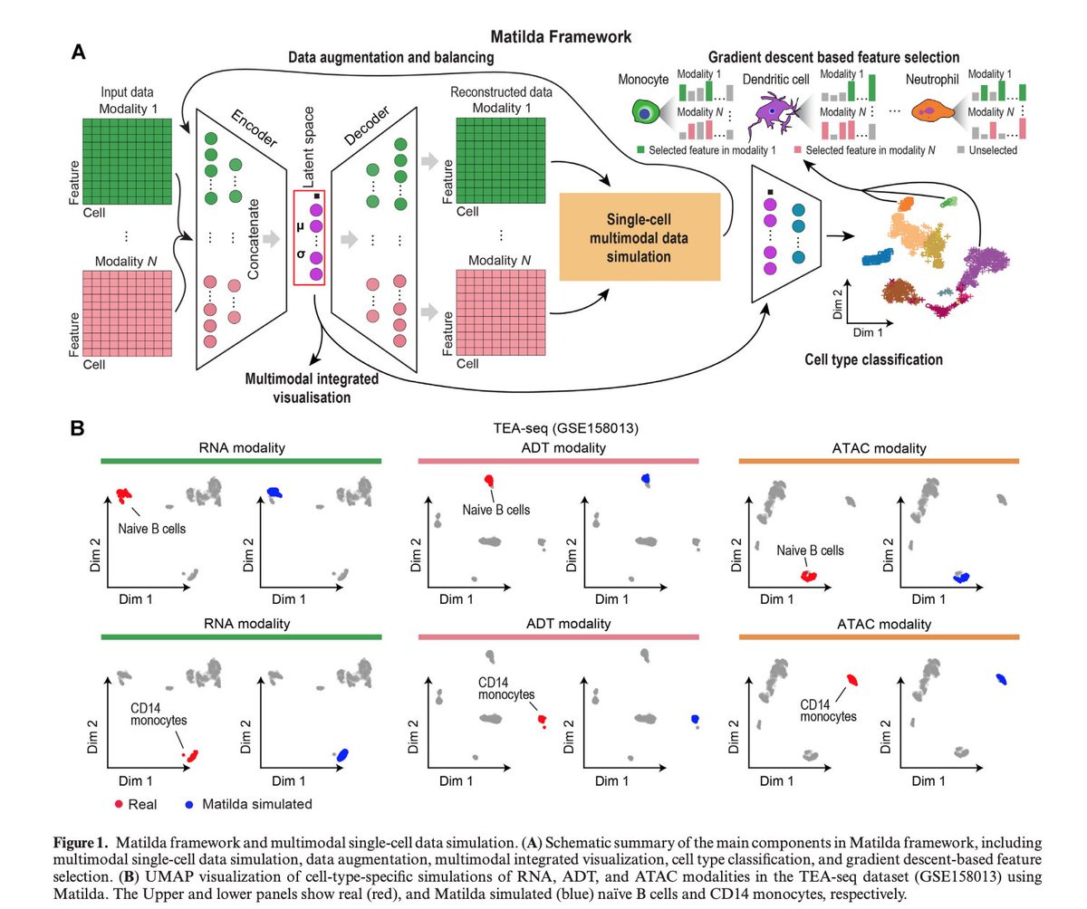 BioDecoded on Twitter "Multitask learning from multimodal singlecell