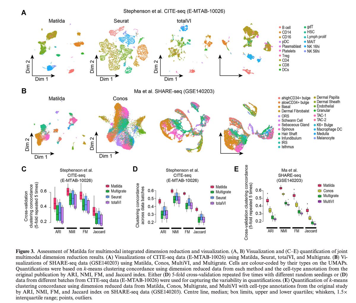 BioDecoded on Twitter "Multitask learning from multimodal singlecell