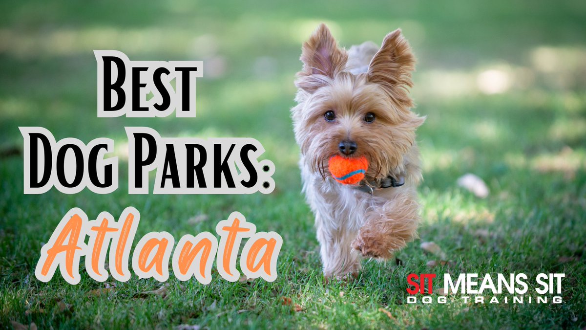AtlDogTrainer tweet picture