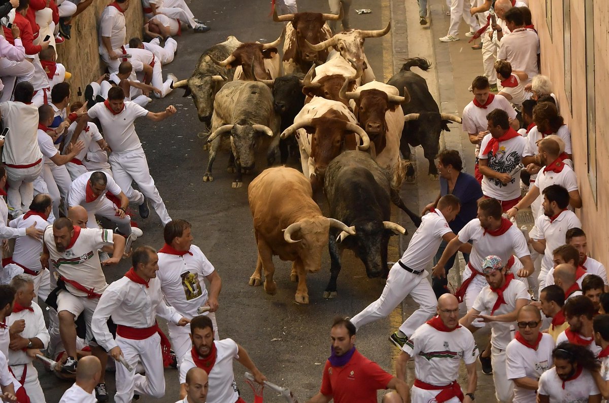 HinduHate's tweet photo. .@PetaIndia go to sleep during Bakri Eid but calls our Jallikattu "FRAGILE and TOXIC masculinity"! Do not force your western concepts on centuries old #Hindu traditions. Try to stop "fragile and toxic masculine" bull fights and bull runs in Italy and Spain! Until then, FO! https://t.co/AMRy75039u