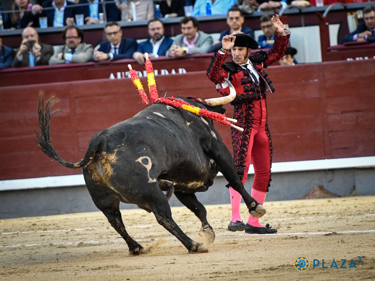 Fernando Sanchez, palabras mayores que manera de andar a los toros de hacerles romper de aguantarles el tirón con ese temple y desparpajo tan característico, saliendo apoyado sobre los palos y con un caminar tranquilo y garboso que dejan esa sensación de seguridad y sabor.