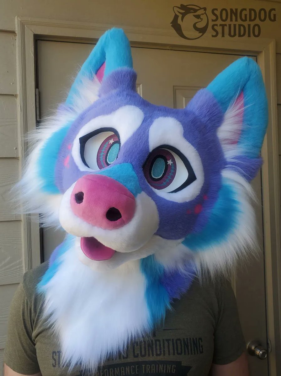 SongdogStudio's tweet photo. This was a premade pupper that found a home at Furry Fiesta! 

I had this purple fur kicking around and really wanted to do something bright with super fluffy cheeks! Had a lot of fun mixing these neon colors for this soft cutie :)

#fursuit #fursuitmaker #canine https://t.co/zRw90nwilZ