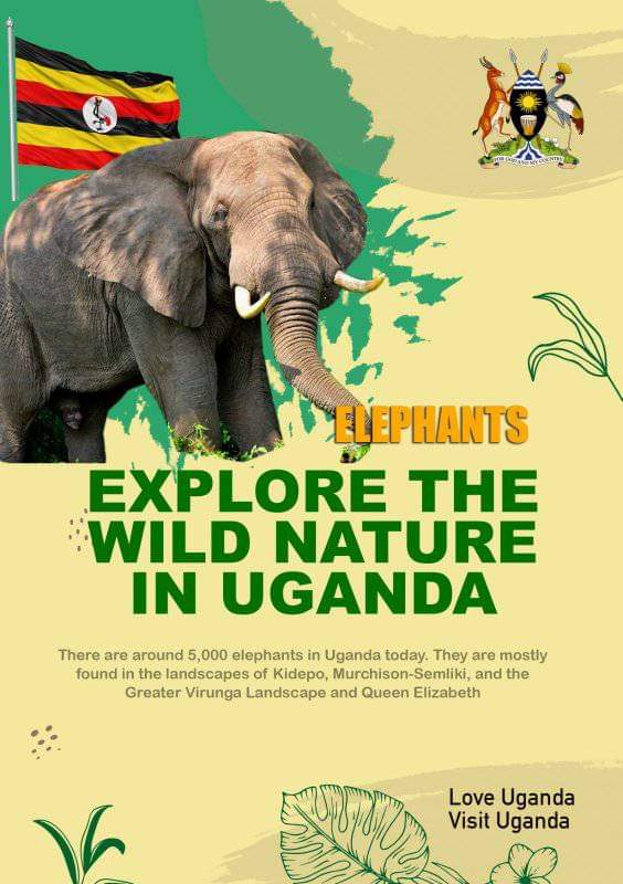 #VisitUganda the Pearl of Africa