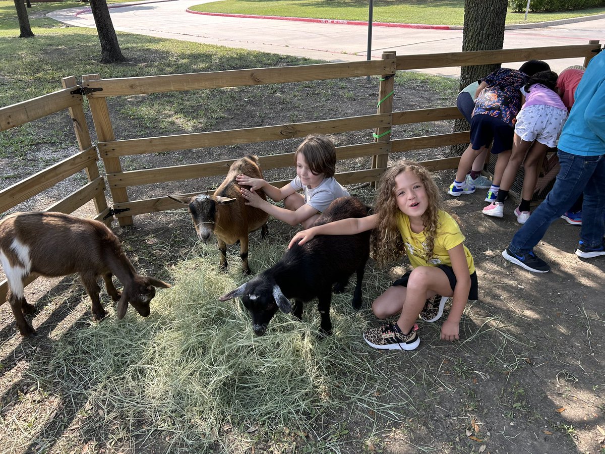 Beth Reeves tweet media