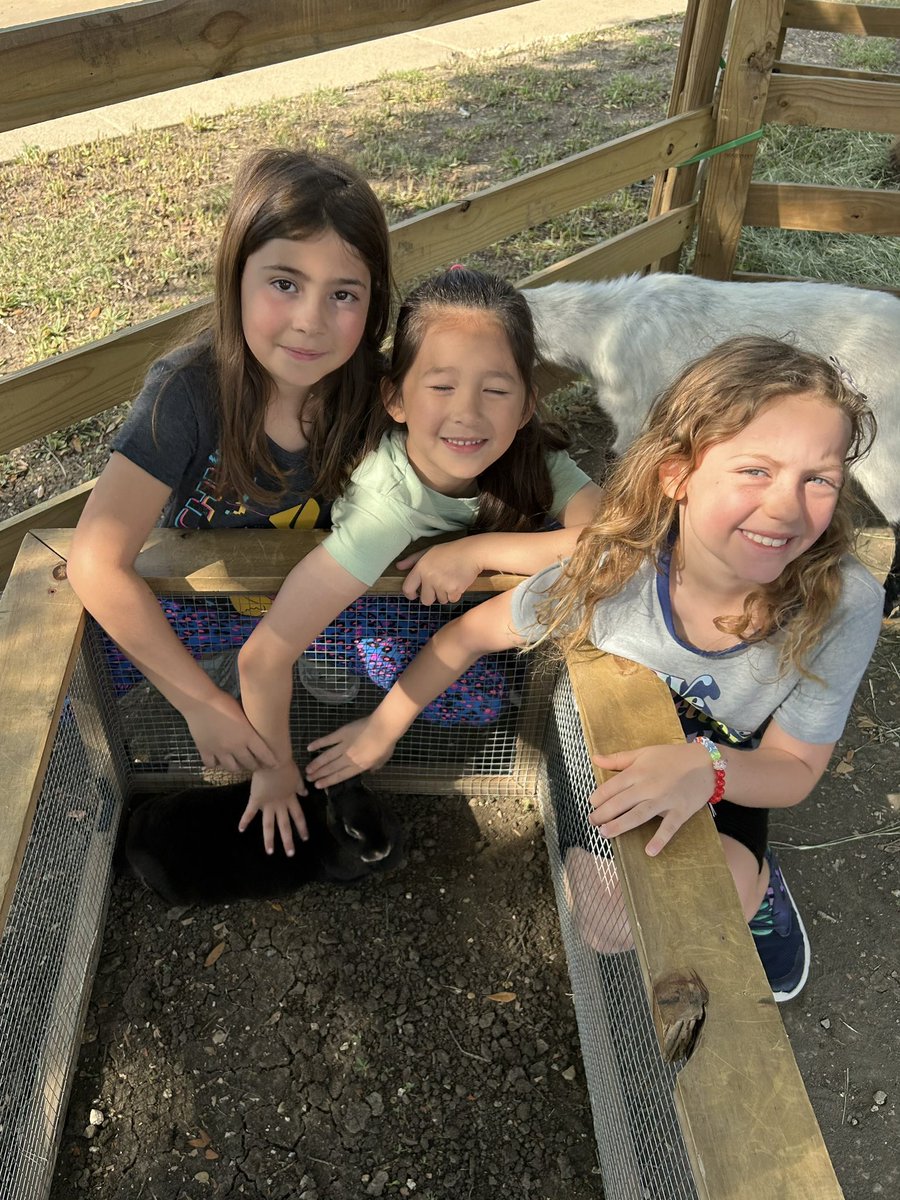 Beth Reeves tweet media