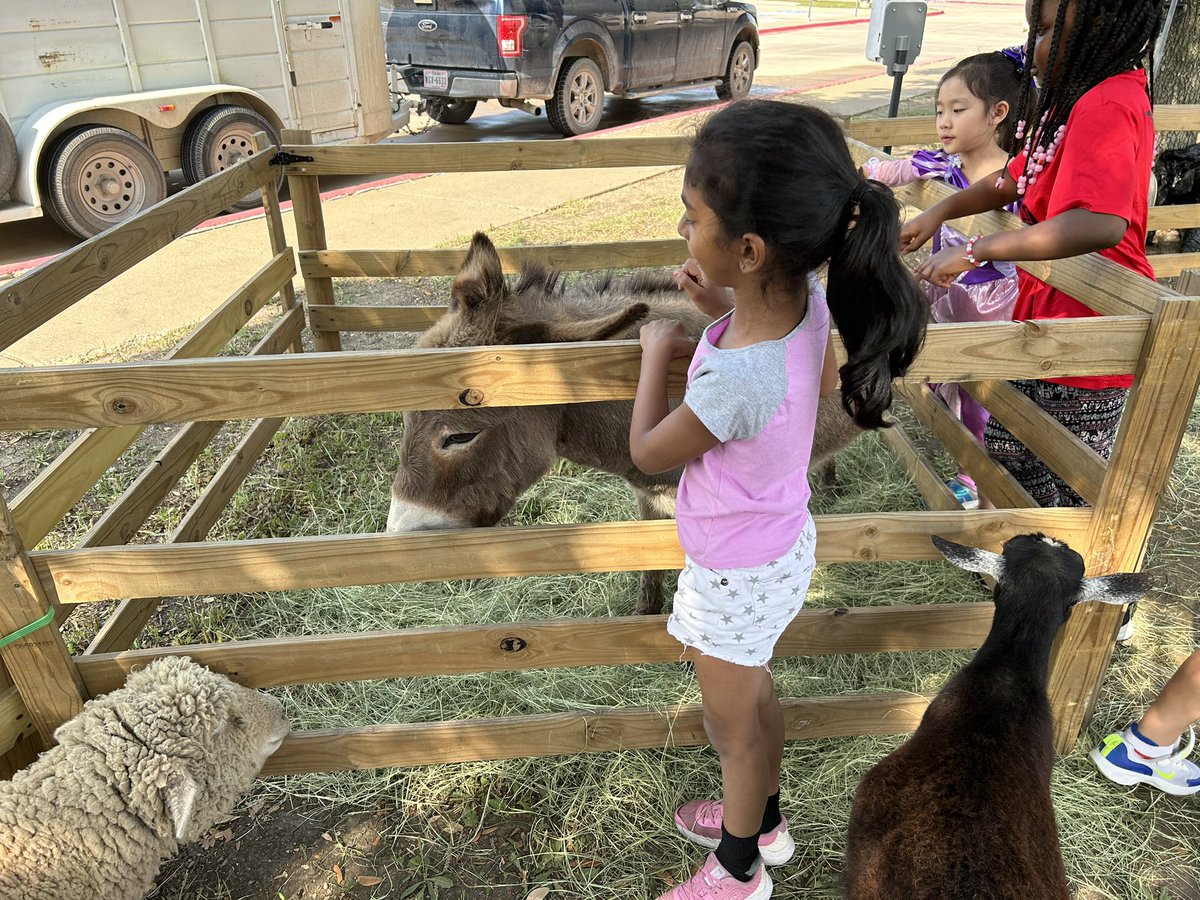 Beth Reeves tweet media