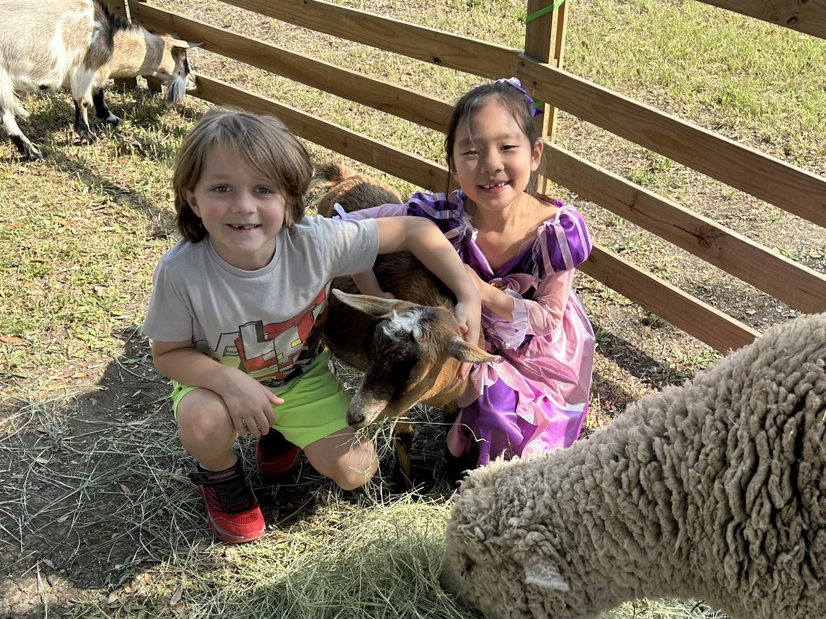 Beth Reeves tweet media