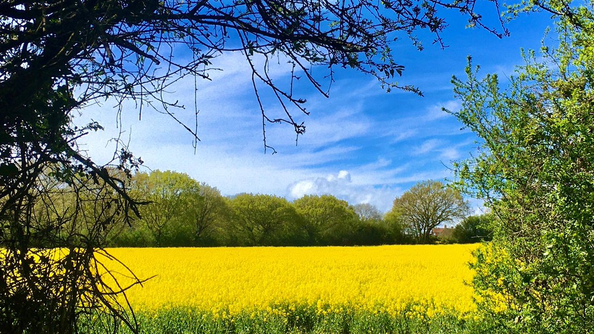 bbcweather's tweet photo. It looked lovely in Crowhurst, East Sussex, earlier today. 📷 #BBCWeatherWatcher John G

Remember you can check the weather where you are here: https://t.co/Zc9wTMfpfV https://t.co/uqhRclac2e