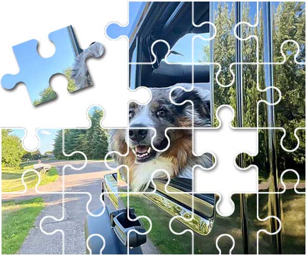 🧩🧩🧩 NEW! TRY THE ONLINE PUZZLE 🧩🧩🧩
The Photo of the Month is now available as an online puzzle!

Check it out here:
australian-shepherd-lovers.com/australian-she…

Let me know what you think of the new puzzle. 🙂 ~Anton 

#australianshepherd #aussie #dogpuzzles #dogphotography #aussielovers