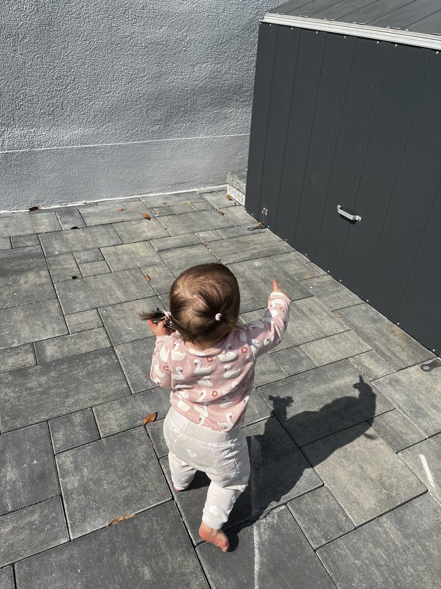 𝘑𝘰𝘦𝘺 ♡︎ tweet media