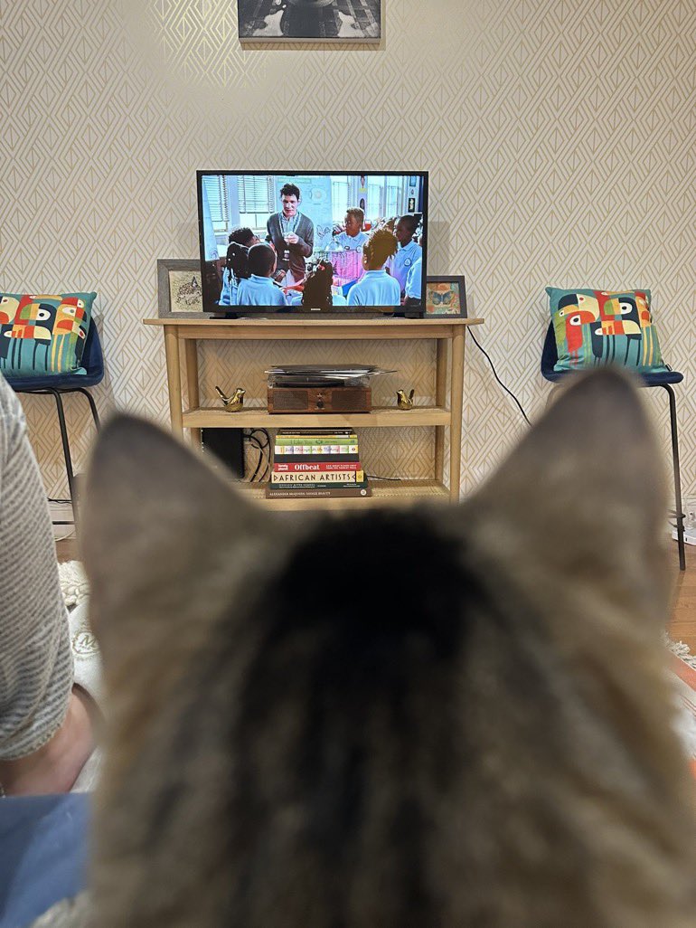 Meet Camilla! She was adopted 2 years ago at 10 years old. It took her a few weeks to adjust to her new home. Now Camilla is a lap cat who likes cuddles and <a href="/AbbottElemABC/">Abbott Elementary</a> . She identifies with Gregory Eddie. They both adapted to a new place and are happier because of it.