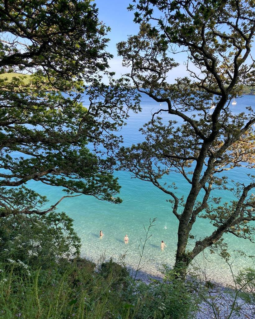 Dominick Tyler tweet media