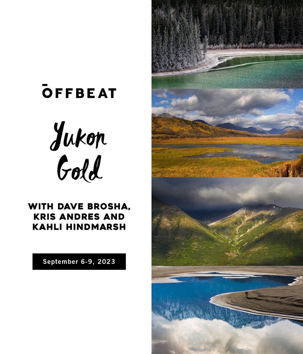 offbeat_photo's tweet photo. Our first #Yukon Gold #photo workshop coming up Sept 2023 has sold out, but there are a few spots left on the second set of dates! https://t.co/HZB2MTqCIK

Join a powerhouse team of instructions, including @KrisAndres2, @kahliaprilphoto and @davebrosha. https://t.co/GliDoX9aDn