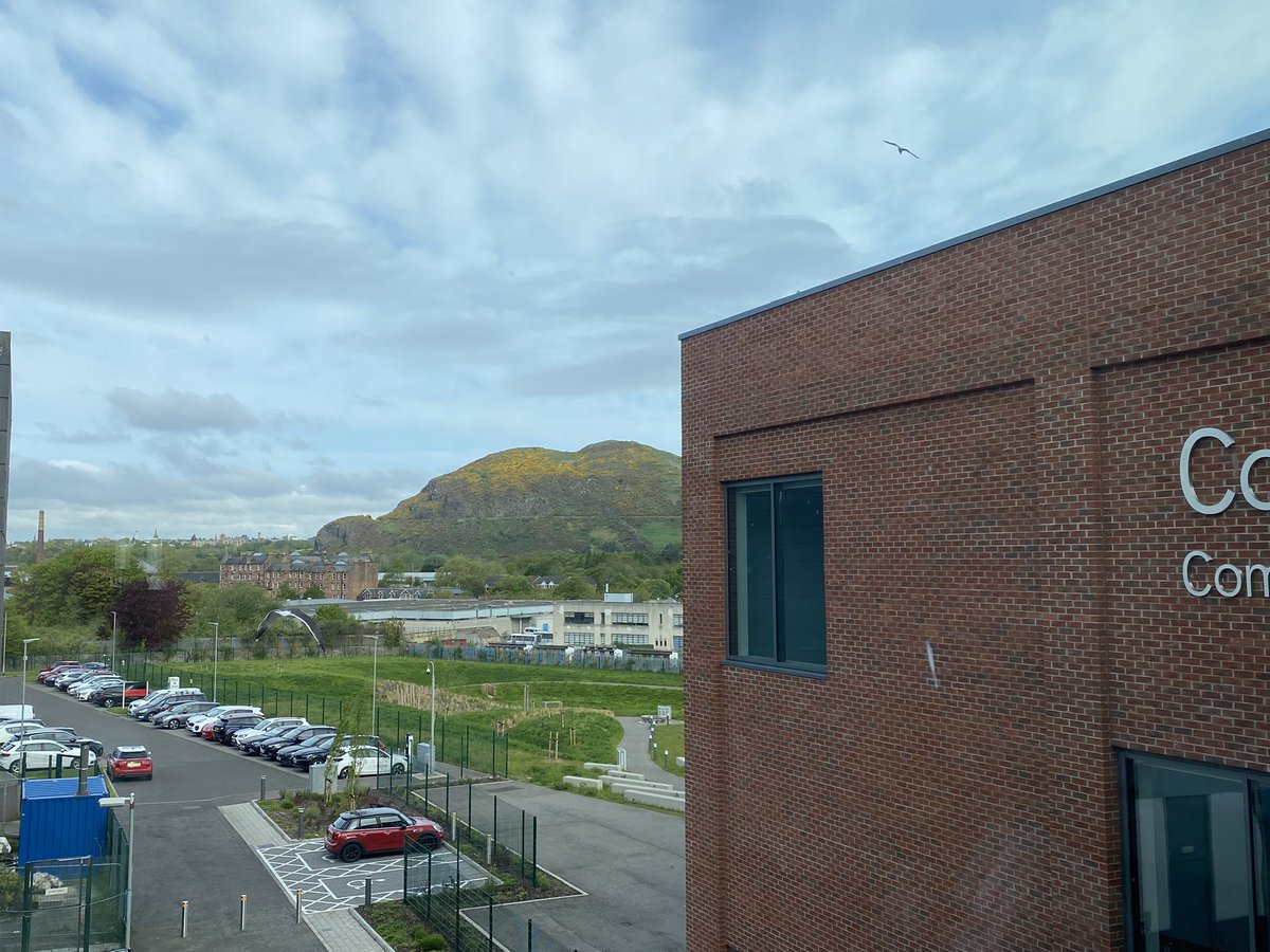 Gayle Durham tweet media