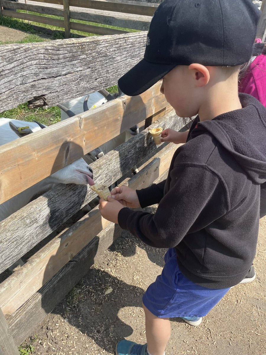 Our end of the year field trip was a success at Kusterman’s Farm!