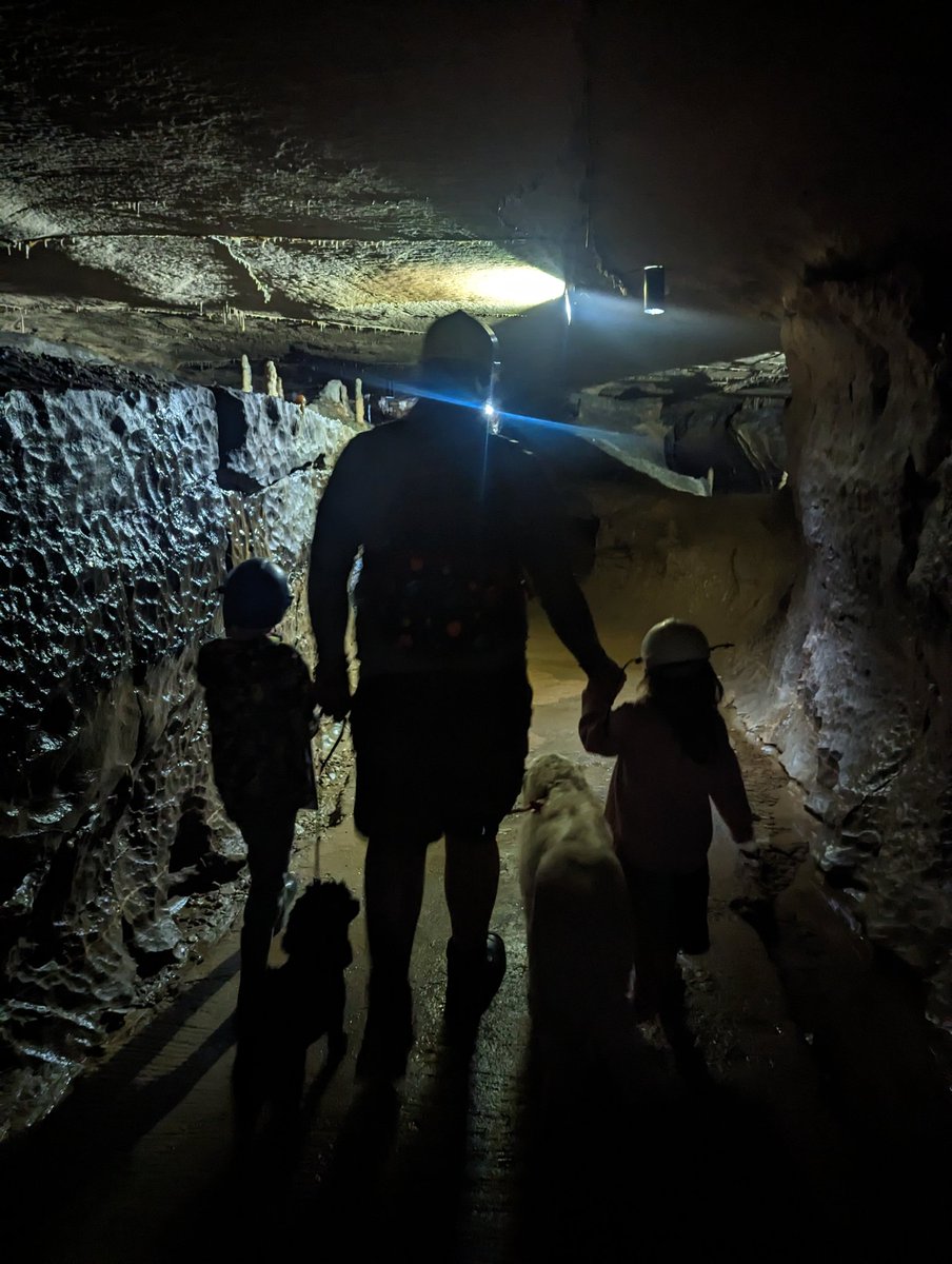 I love a limestone cave. The formations are so pretty.  It was great that the dogs were able to join in too.
#ingleboroughcave #familytime #yorkshiredales