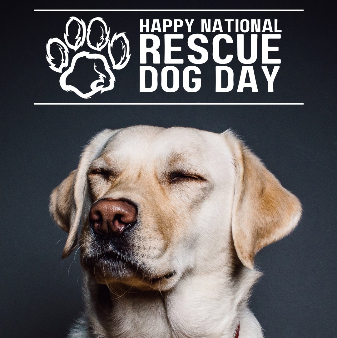 Happy National Rescue Dog Day! Did you know you no longer need to come in to license your dog? More information is available at Joint Animal Services website:  jointanimalservices.org/licensing/