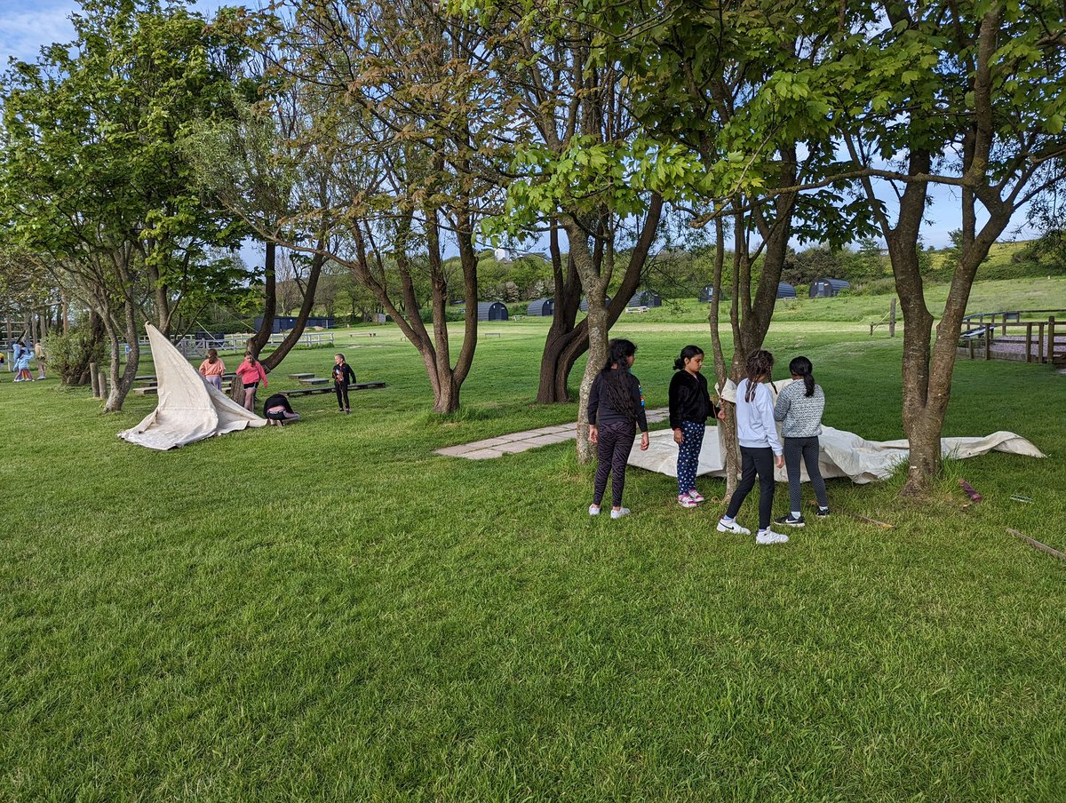 Highfield Year 4 tweet media