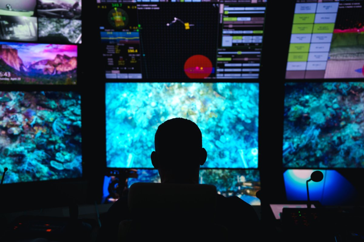 Who's ready for the return of dive livestreams from Remotely Operated Vehicle (ROV) SuBastian? 🙋 Next up: the seamounts of #CostaRica where we hope to observe female octopuses brooding their eggs together along low-temperature vents!
#OctoOdyssey: schmidtocean.org/cruise/octopus…