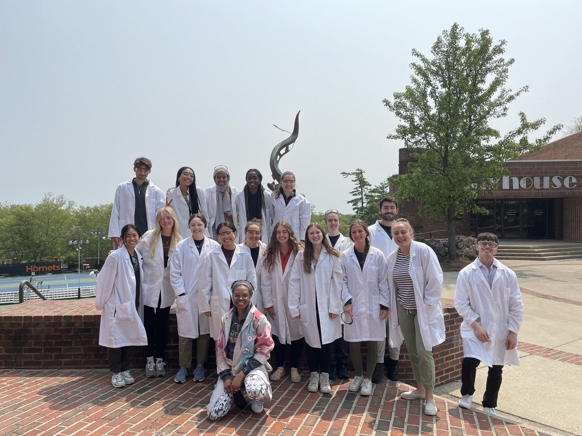 QueenBee tweet media