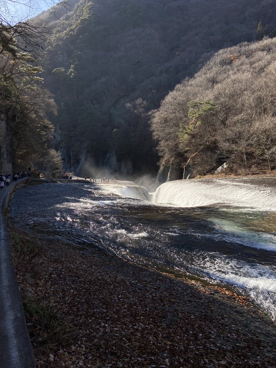 pdforphoto's tweet photo. #日本 #群馬県 #群馬 #沼田市 #ないあがらの滝 #滝 #川 #自然 #森 #山 #ツーリングスポット #ツーリング #バイク #散歩 #風景 #風景写真 #写真 #水 #群馬観光 #デートスポット #japan #gunma #numata #bike #motorcycle #wood #mountain #natur #water #river https://t.co/m65RZLCKcH