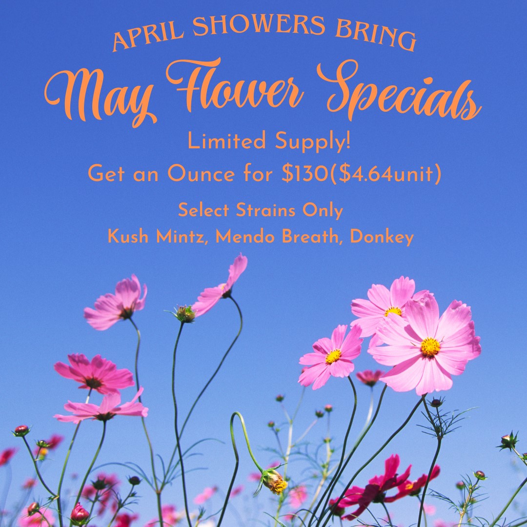 AQuaintJoint's tweet photo. Come pick up your $130 Ounce TODAY!
This deal will continue through the month - 
While Supplies Last
Also, view our website every month for more specials!
https://t.co/Lx4WschSEe
#newmexicotrue #corrales #albuquerque #newmexicodispensary #cannabisculture #deals #specials https://t.co/6JYhoxYXNE
