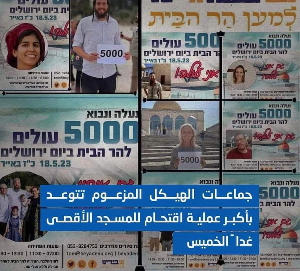 منظمة حواء_ Eve_organization tweet media