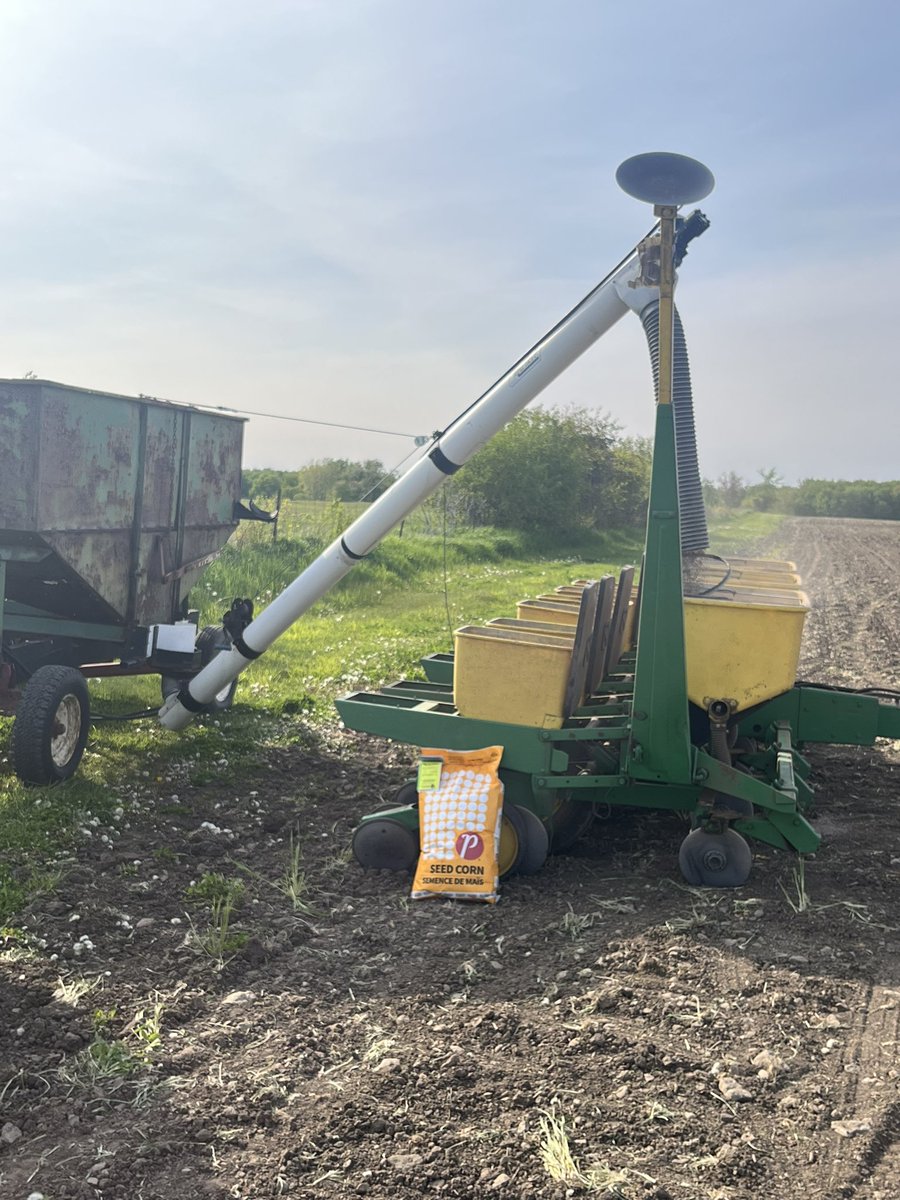 Last fill up of corn #plant23 
@PRIDESeeds A6585. #prideinmyfield