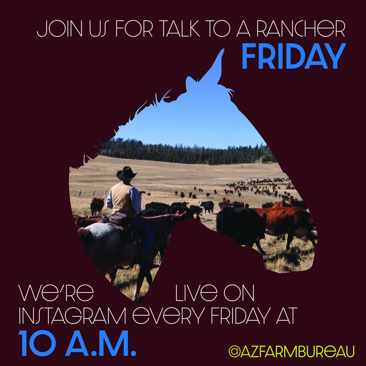 azfb's tweet photo. Join us live on #Instagram for #TalktoaRancher Friday at 10:00 a.m. We'll be interviewing Cassie Lyman with The Lyman Ranch. We've got so much to talk about and so much to catch up on! https://t.co/xjD7OBoNQs