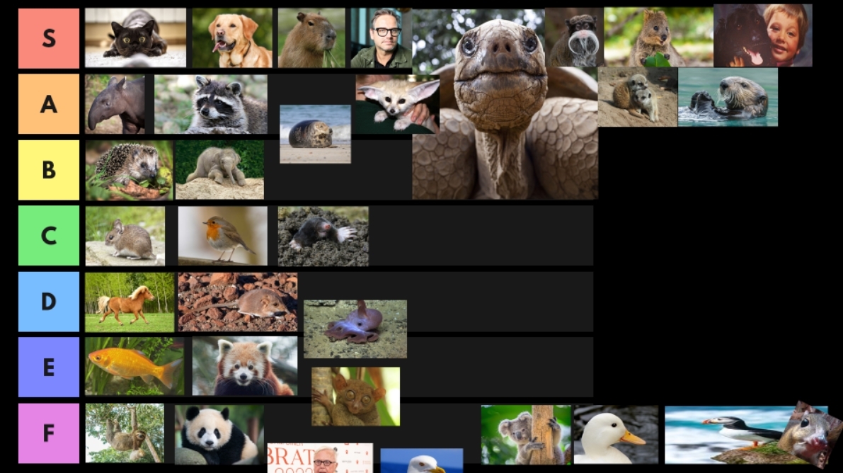 Bij deze de official beste sauzen en schattigste dieren. #0%discussiemogelijk