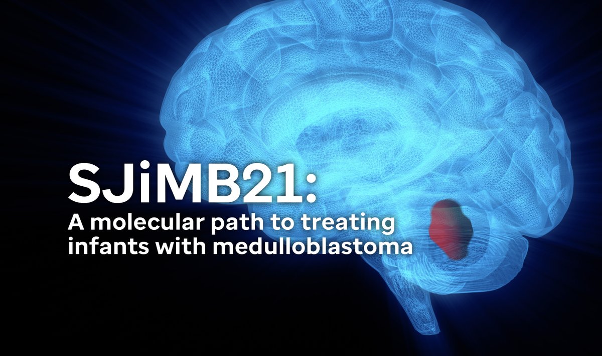 Scientists at St. Jude are developing novel treatment strategies for infants and young children with medulloblastoma, the most common malignant pediatric brain tumor. Learn about the innovative clinical trial. bit.ly/3Oo0Rud #BTAM #NeuroOnc