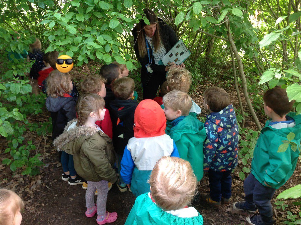 Oh no the pirates have lost their colourful parrots! Where do you think we may find them? M "In the forest". So that's where went to look.