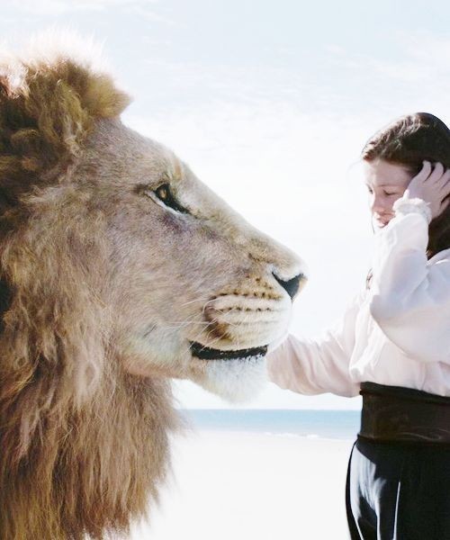 Welcome to Narnia (@narniaxaslan) on Twitter photo 