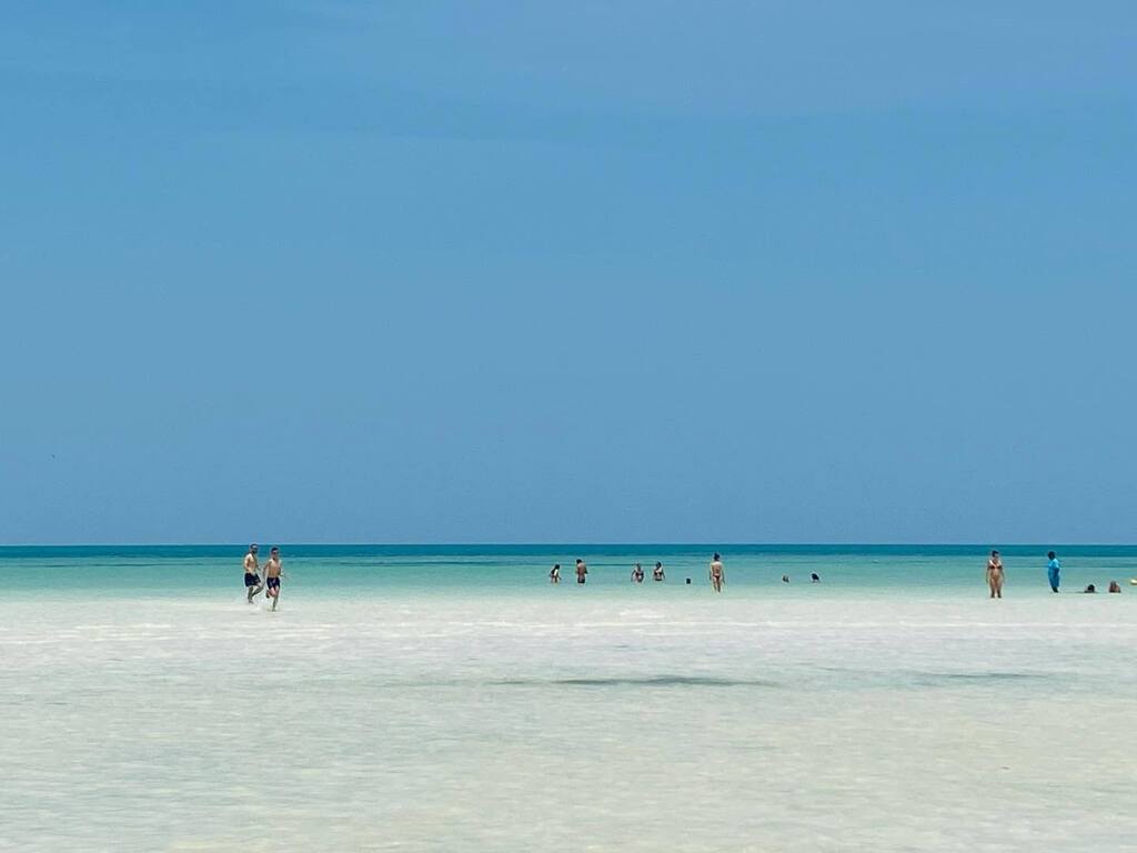 CarrlosPerez's tweet photo. #mexicomagico #holbox #mexico🇲🇽 https://t.co/bzZk8zD0qQ https://t.co/GkIwYFl0Ph