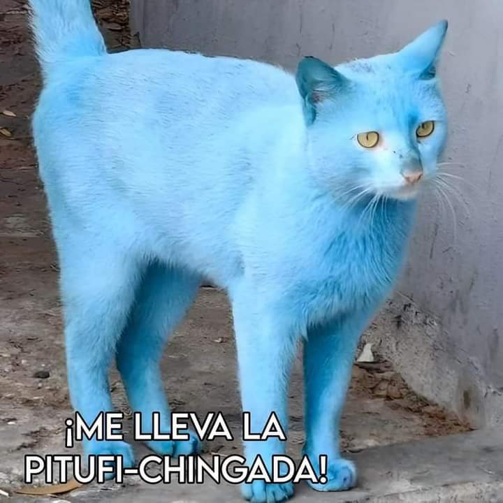 Yo en la terapia 😵