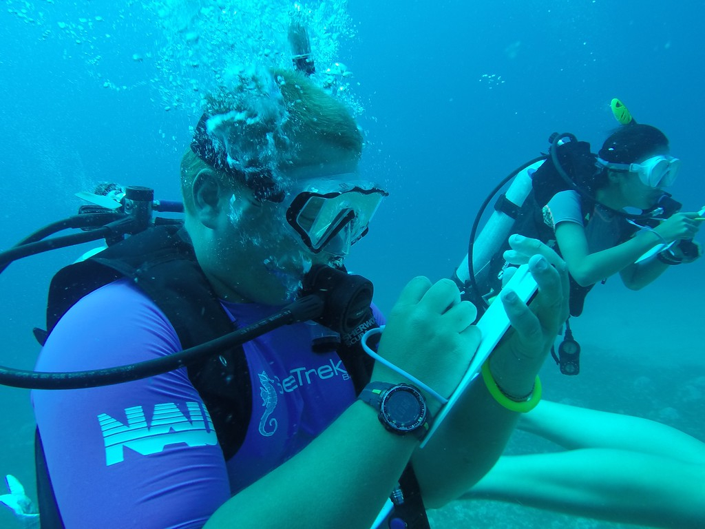 SeaTrekltd's tweet image. What certifications are you working on this summer? #learntodive #scuba #sailing #scubadiving #naui