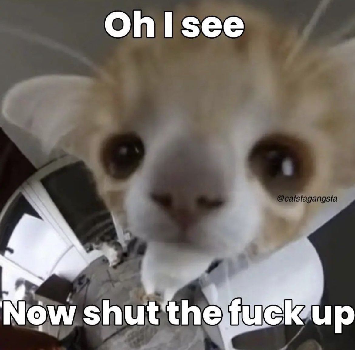 Loaf (@loafttv) on Twitter photo 