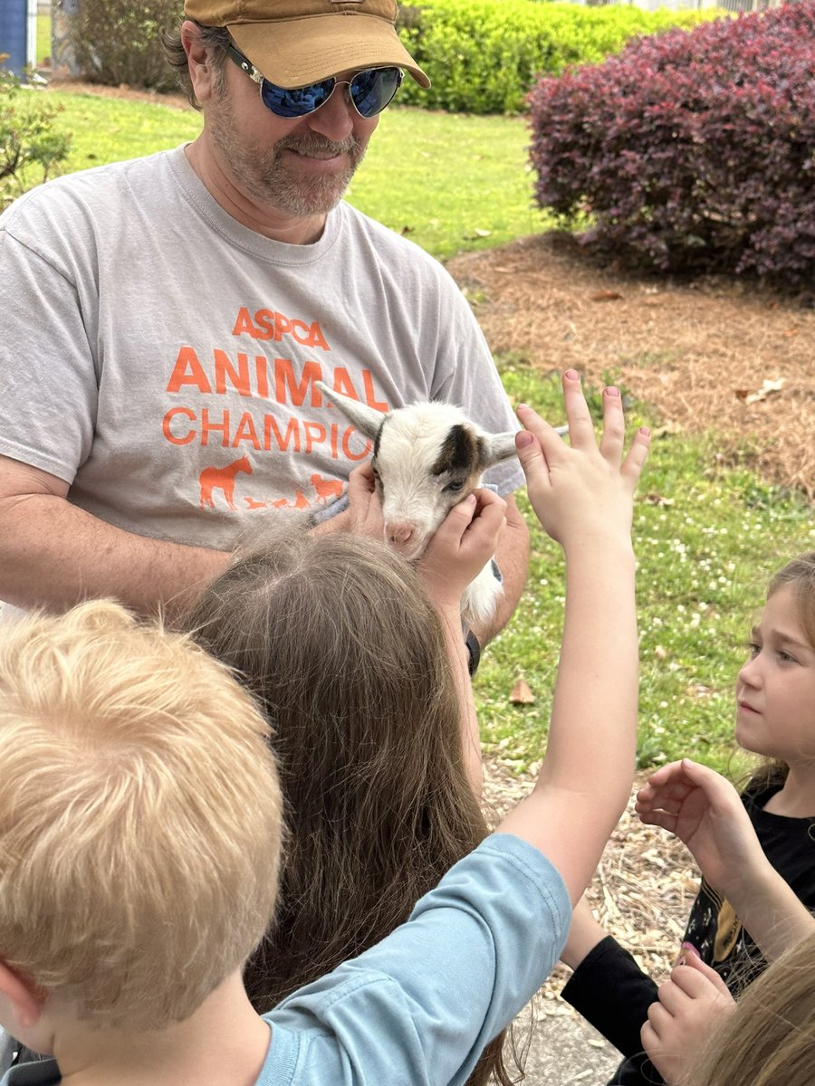 When your 1st graders finish their animal unit and your friend brings their donkey and baby goat to school it’s the best day ever! <a href="/CobbAlp/">Cobb ALP</a> <a href="/keheleycomets/">Keheley Comets</a> #lovetothinkhere