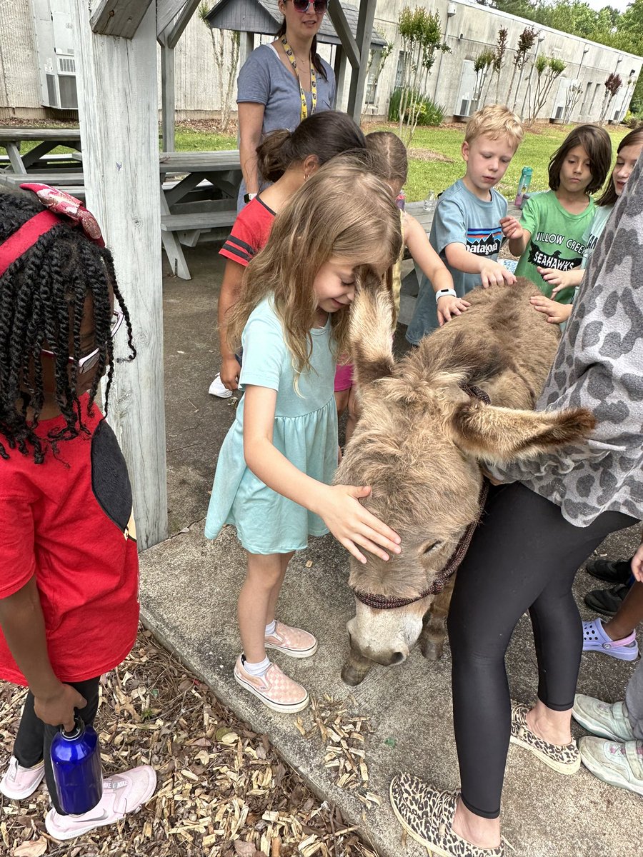 BrandMedlin's tweet photo. When your 1st graders finish their animal unit and your friend brings their donkey and baby goat to school it’s the best day ever! @CobbAlp @keheleycomets #lovetothinkhere https://t.co/pHEVx8qwIA