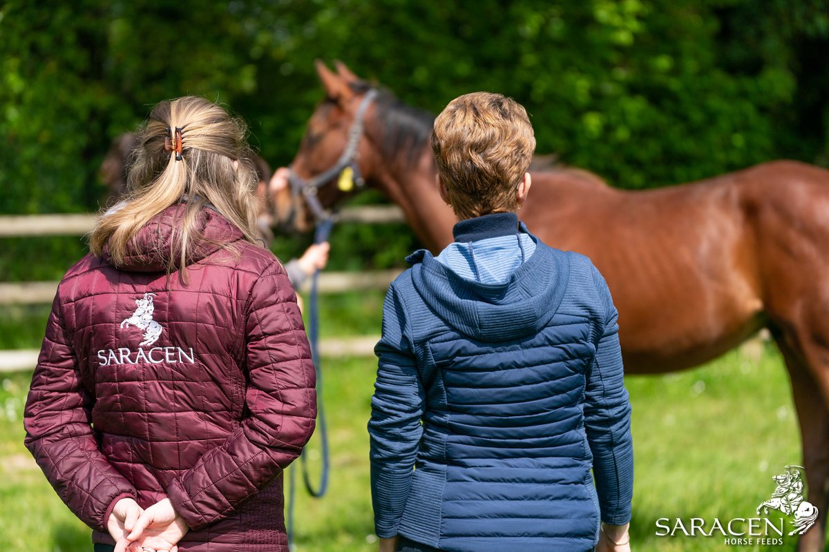 SaracenTB's tweet photo. 📋 Body condition scoring doesn't only involve looking at horses, our team also 𝙛𝙚𝙚𝙡𝙨 every individual for a more accurate assessment.

To find out more about our breeding services, head over to👉 https://t.co/pZM6wKv4K1
#FeedtheDifference #FeedingtheFuture #FutureinMind https://t.co/V2gSJp1b6h