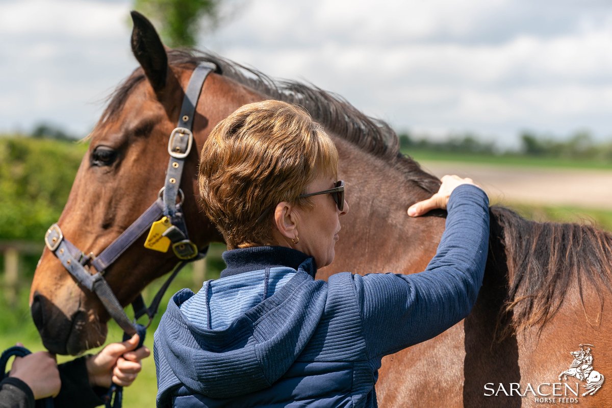 SaracenTB's tweet photo. 📋 Body condition scoring doesn't only involve looking at horses, our team also 𝙛𝙚𝙚𝙡𝙨 every individual for a more accurate assessment.

To find out more about our breeding services, head over to👉 https://t.co/pZM6wKv4K1
#FeedtheDifference #FeedingtheFuture #FutureinMind https://t.co/V2gSJp1b6h