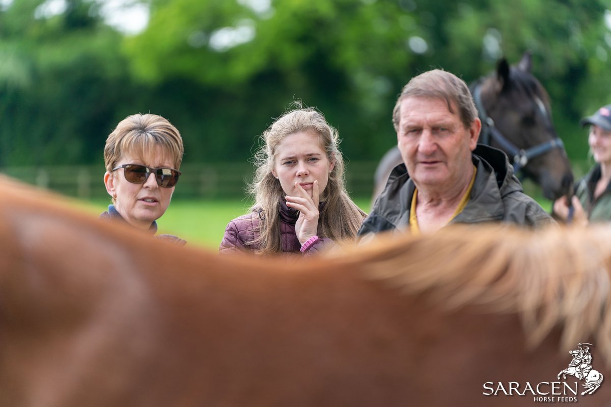 SaracenTB's tweet photo. 📋 Body condition scoring doesn't only involve looking at horses, our team also 𝙛𝙚𝙚𝙡𝙨 every individual for a more accurate assessment.

To find out more about our breeding services, head over to👉 https://t.co/pZM6wKv4K1
#FeedtheDifference #FeedingtheFuture #FutureinMind https://t.co/V2gSJp1b6h